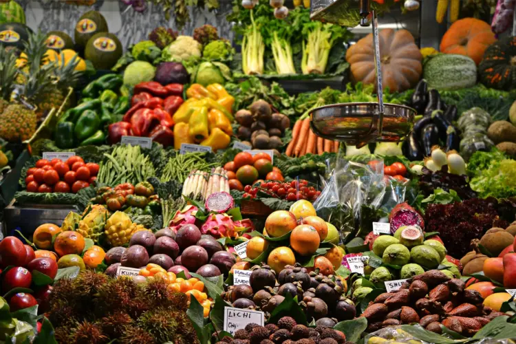 Ernährungsberatung und Stoffwechselanalyse Icon